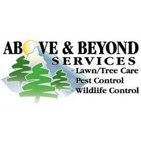 Above And Beyond Services